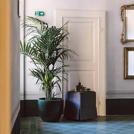 Palazzo Feroci - Residenza D'epoca Apartment *